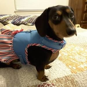 Meet your Posher, Julia